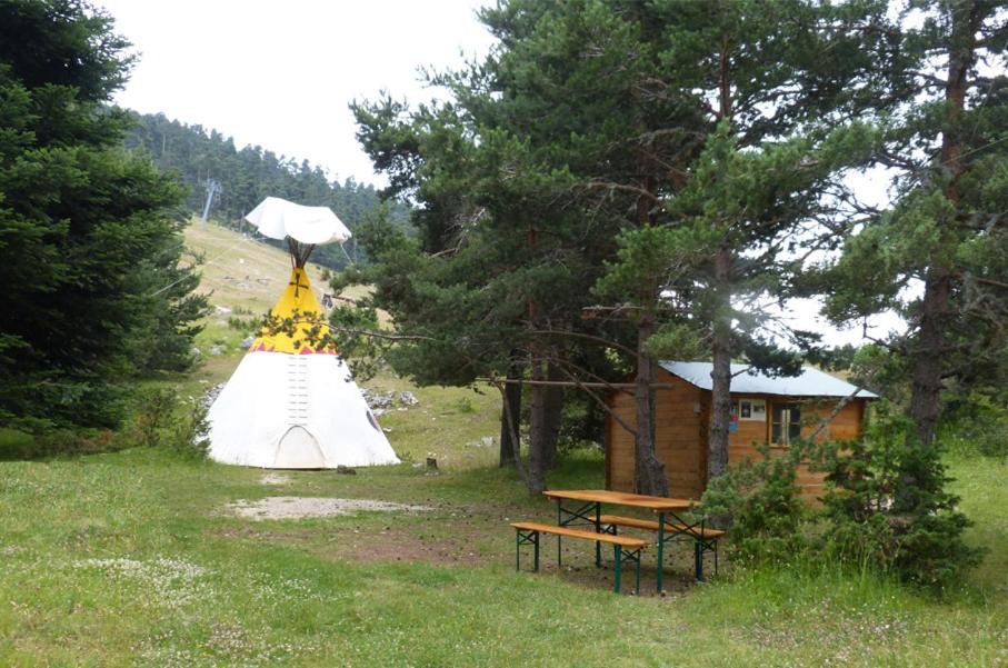 Photo of Others in Caille
