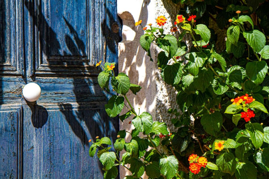 Photo of Others in Saint-Tropez