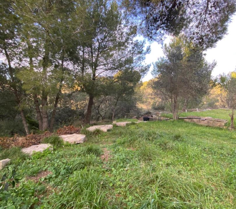 Photo of Others in Les 3 Ponts