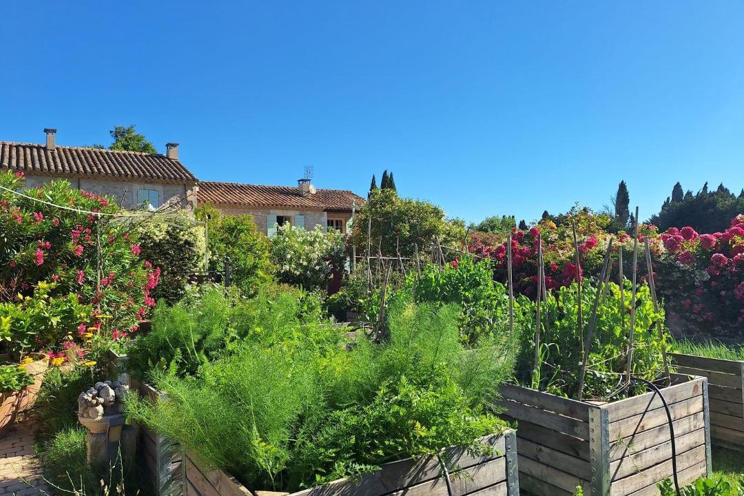 Photo of Others in St.-Remy-de-Provence