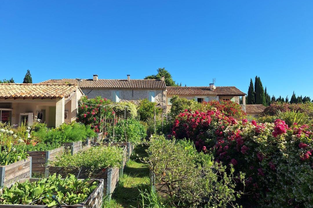 Photo of Others in St.-Remy-de-Provence