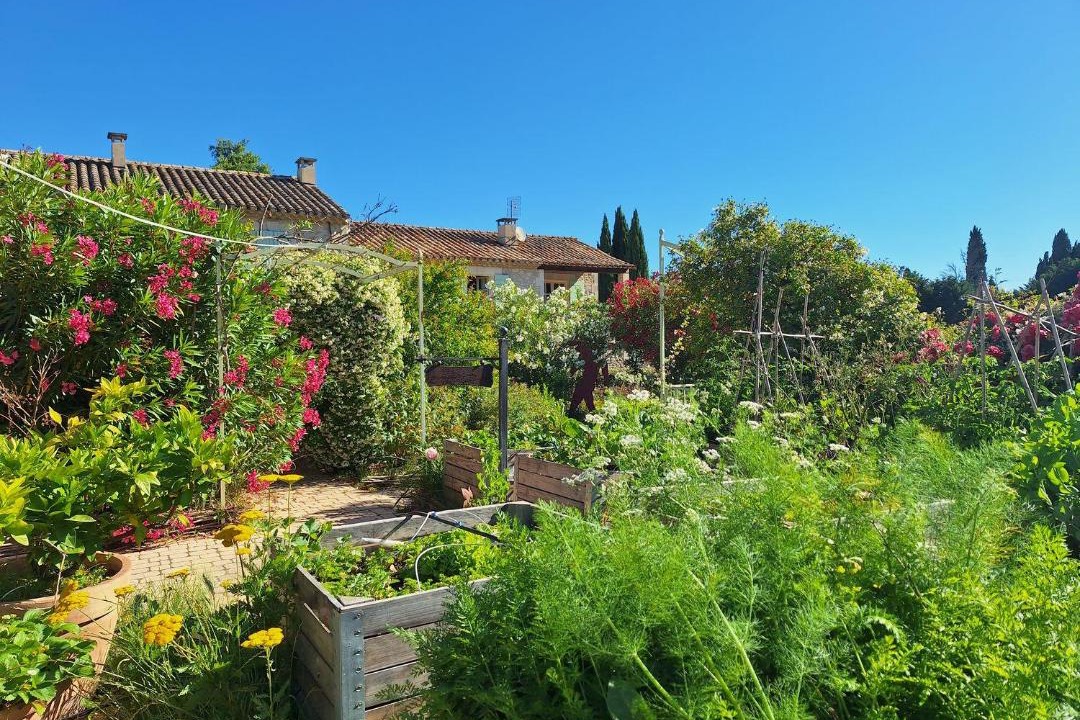 Photo of Others in St.-Remy-de-Provence