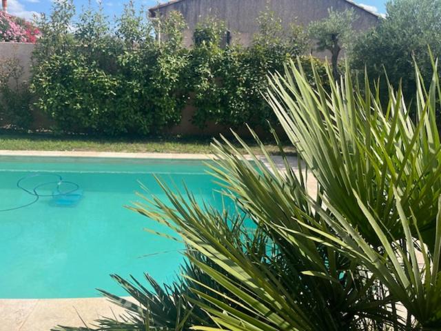 Photo of Others in Beaucaire