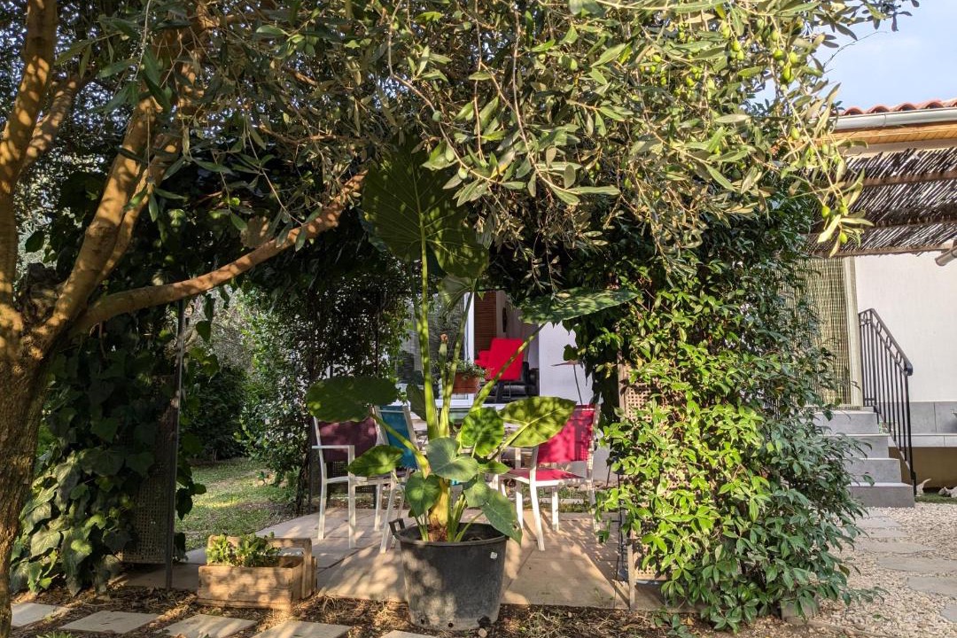 Photo of Others in Morieres-les-Avignon