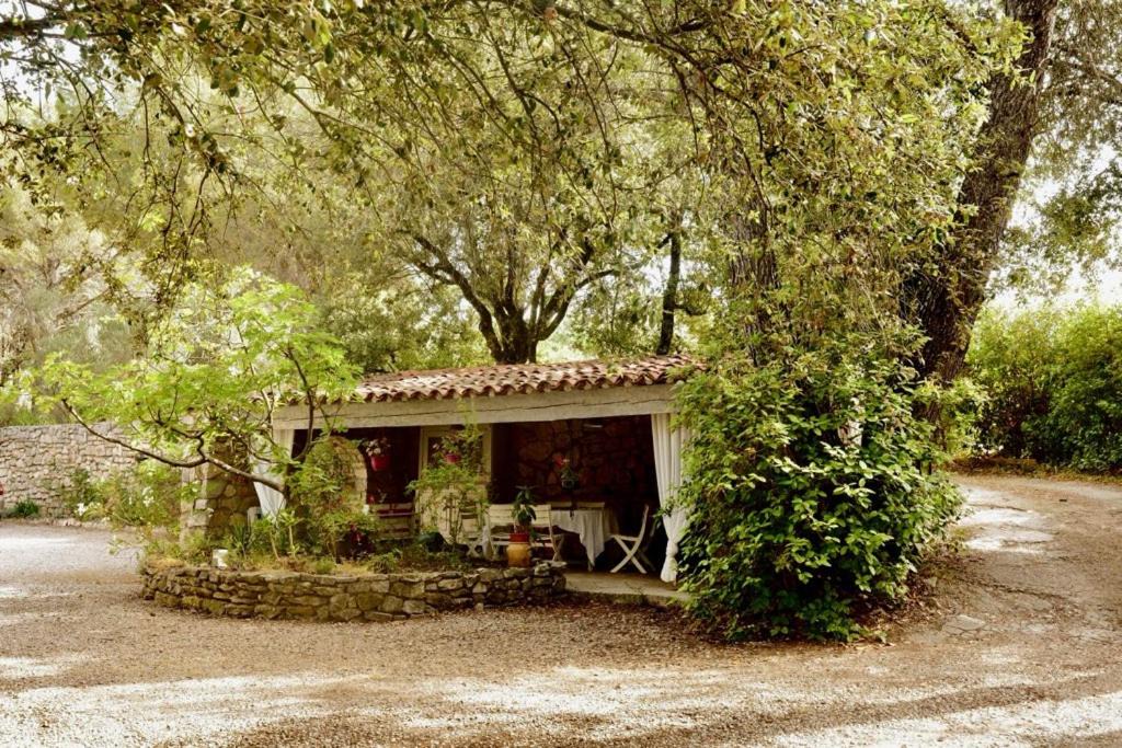Photo of Others in Lorgues