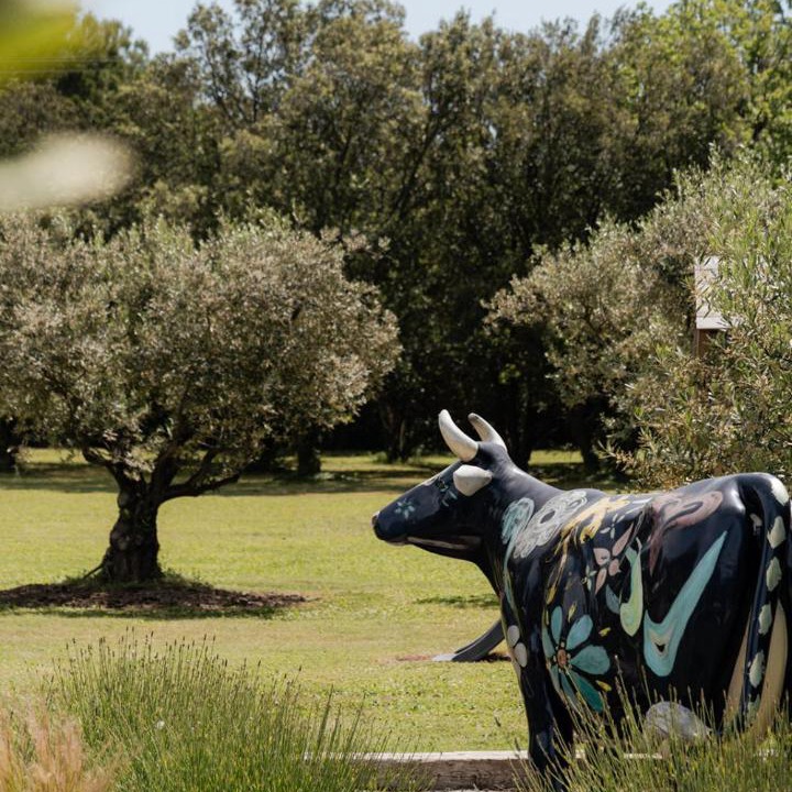 Photo of Others in Cavaillon