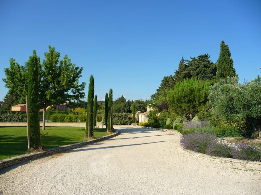 Photo of Others in Cavaillon