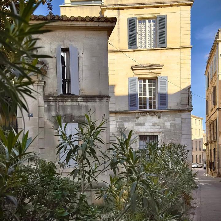 Photo of Others in Avignon City Centre