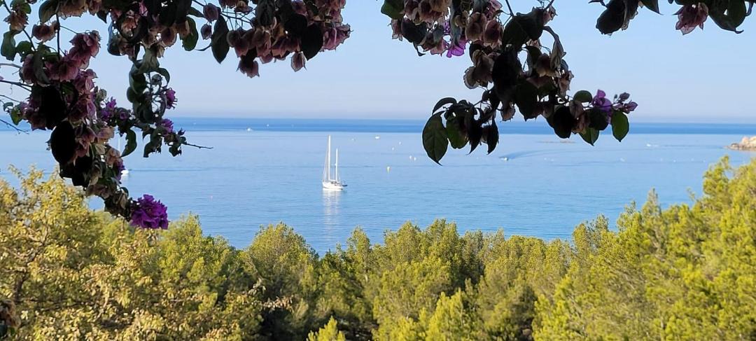 Photo of Others in Sausset-les-Pins