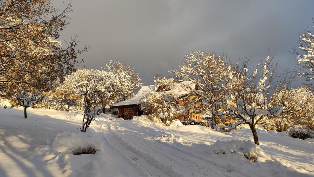 Photo of Others in Puy-Sanieres