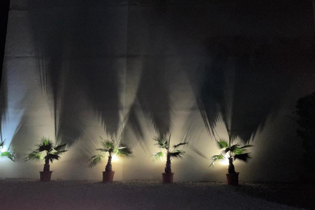 Photo of Others in Juan-les-Pins