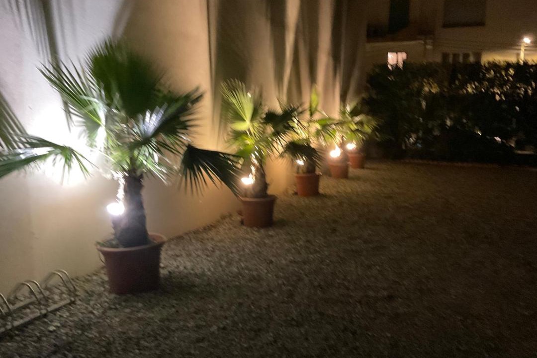 Photo of Others in Juan-les-Pins
