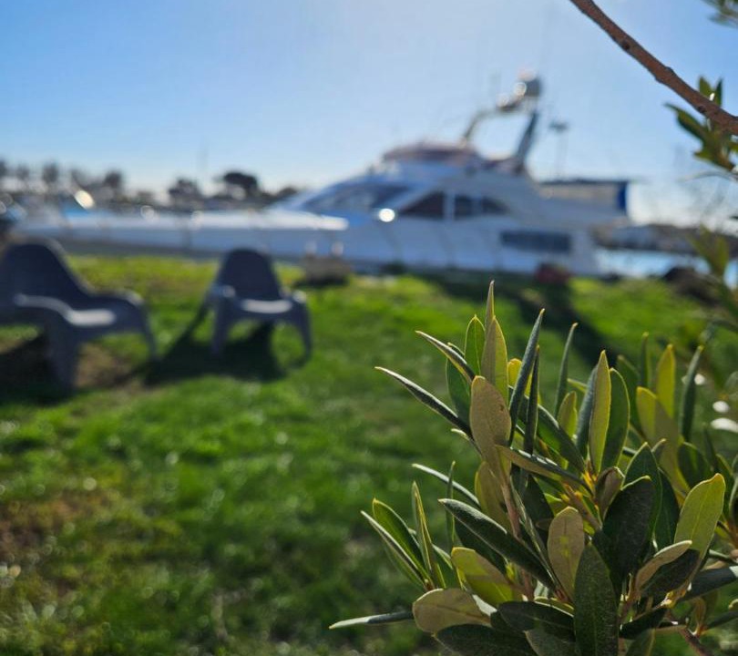Photo of Others in Port-Saint-Louis-du-Rhone