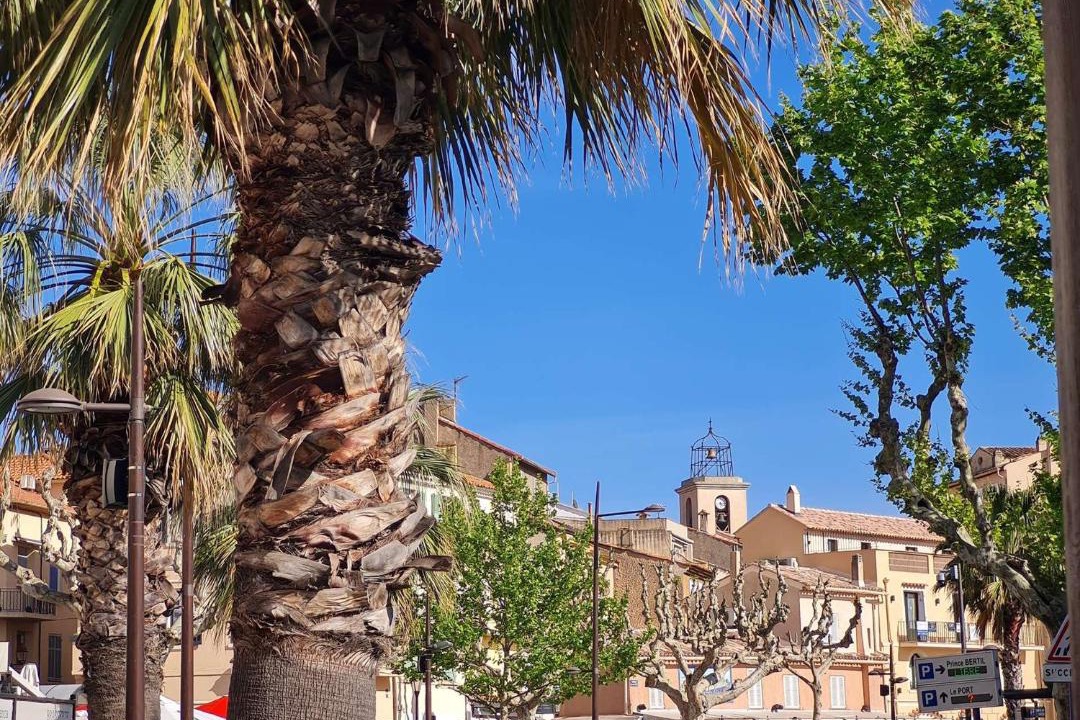 Photo of Others in Sainte-Maxime
