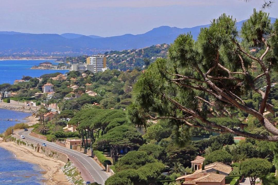 Photo of Others in Sainte-Maxime