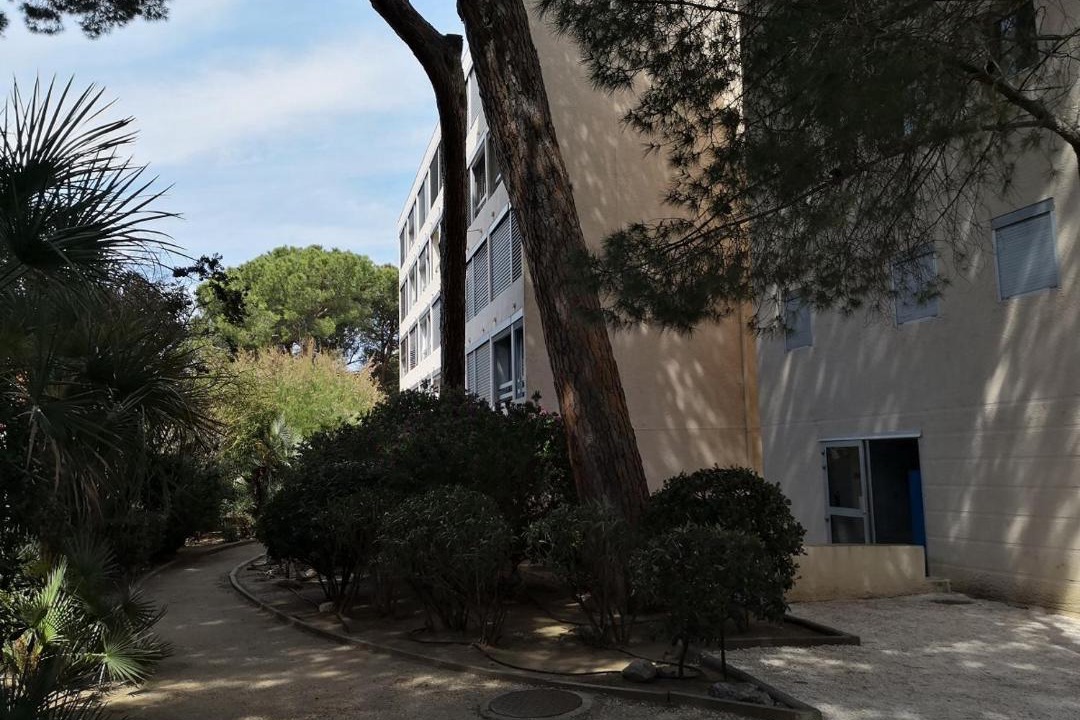 Photo of Others in Hyeres