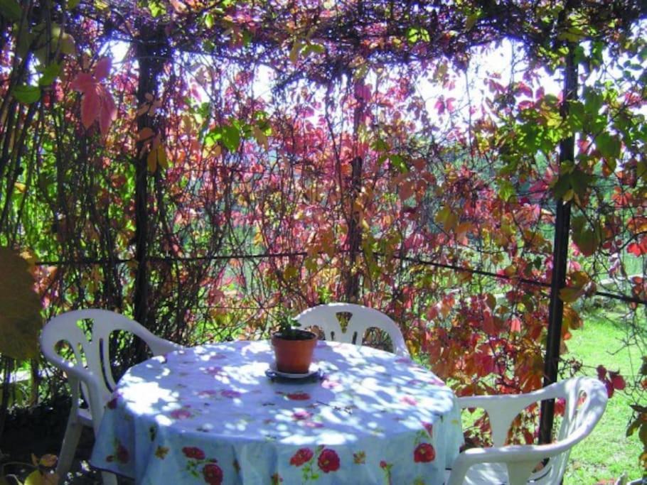 Photo of Others in Roussillon