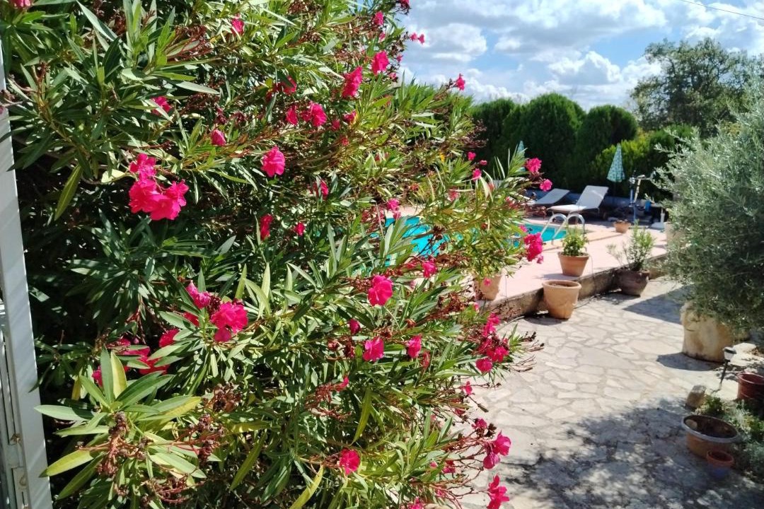 Photo of Others in Cabrieres-dʼAigues