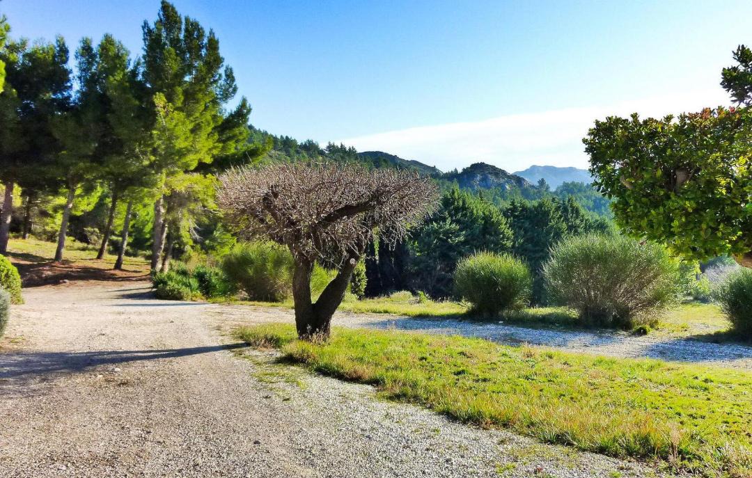 Photo of Others in Les Baux-de-Provence