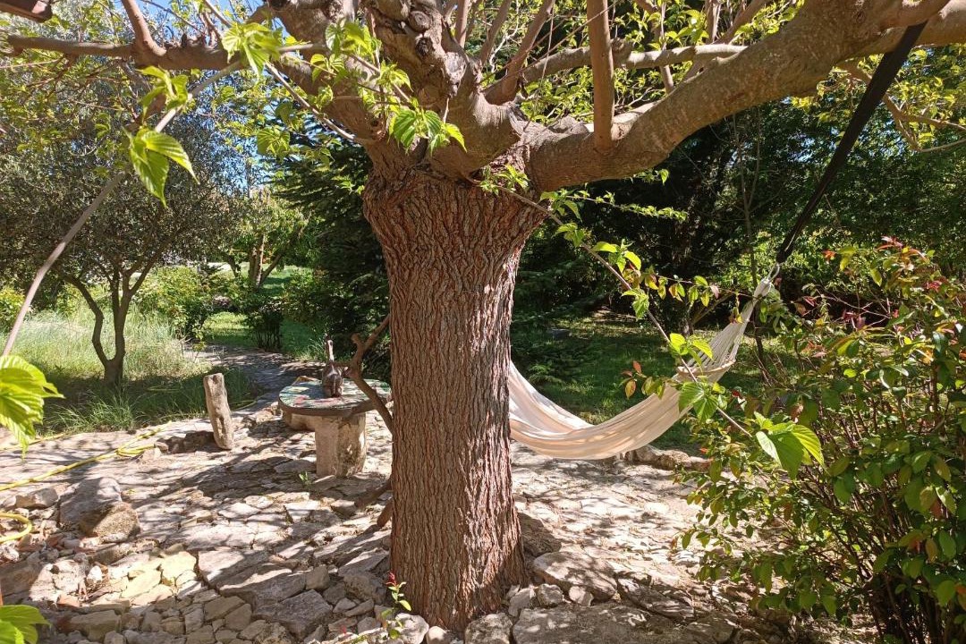 Photo of Others in Aix-en-Provence