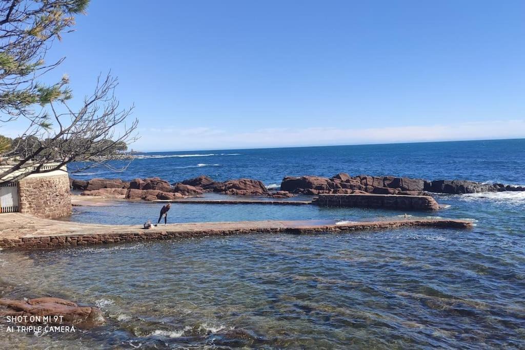 Photo of Others in Boulouris-sur-Mer