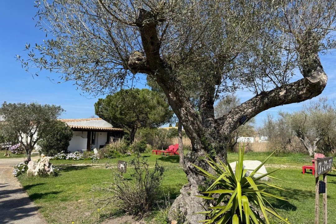 Photo of Others in Saintes-Maries-de-la-Mer