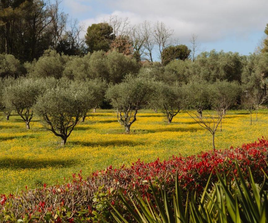 Photo of Others in Saint-Paul-de-Vence