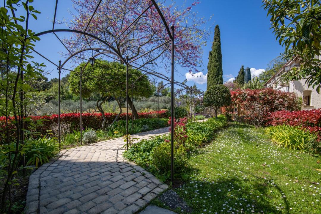 Photo of Others in Saint-Paul-de-Vence