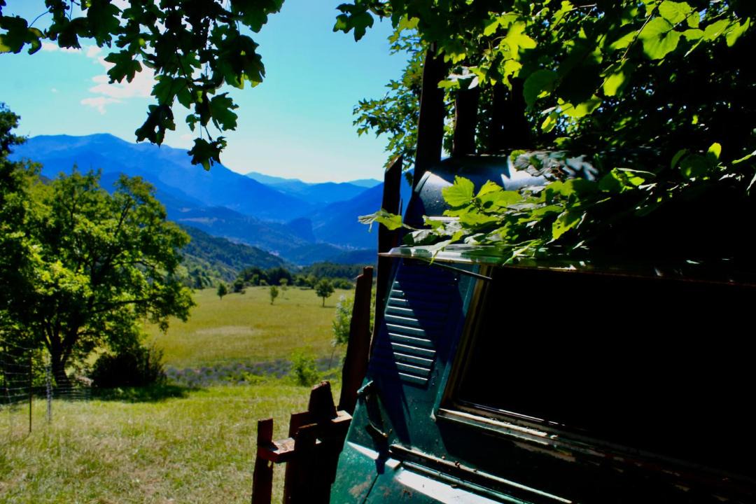 Photo of Others in Castellane
