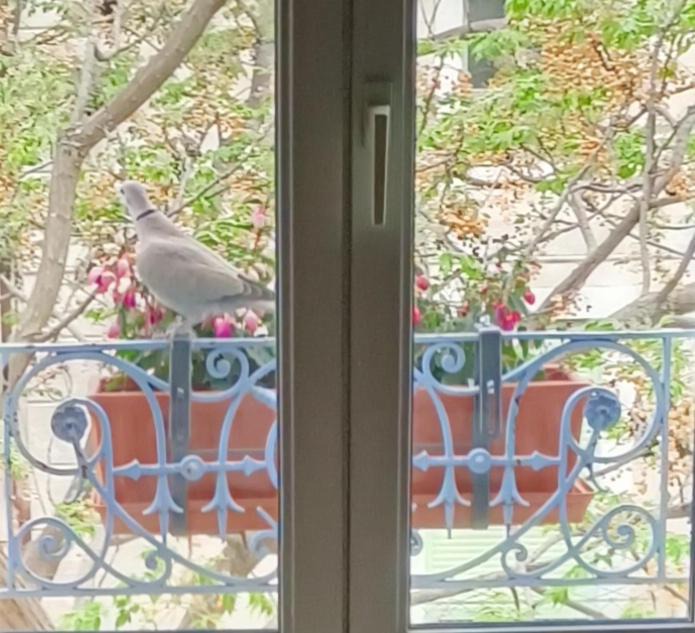 Photo of Patio Balcony in Aramon