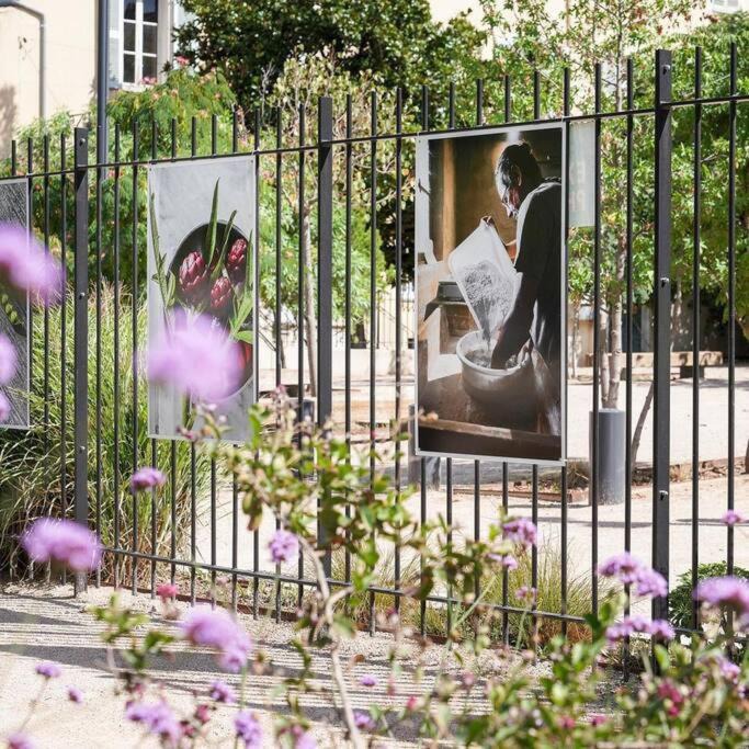 Photo of Others in Brignoles