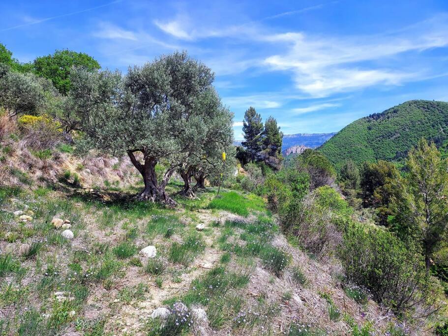 Photo of Others in Digne-les-Bains