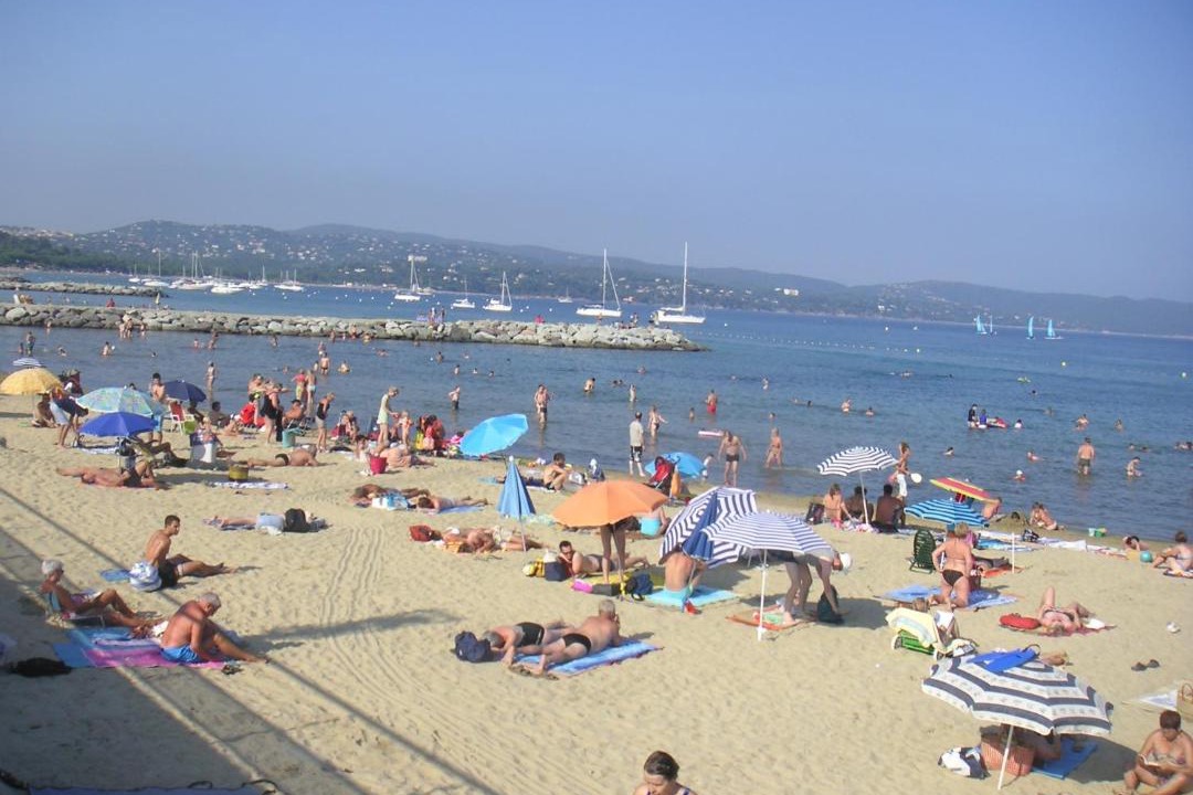 Photo of Human In Picture in Cavaliere