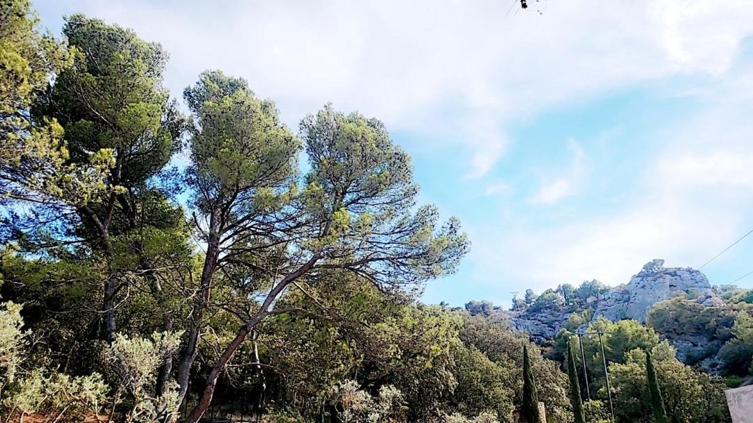 Photo of Others in Cavaillon