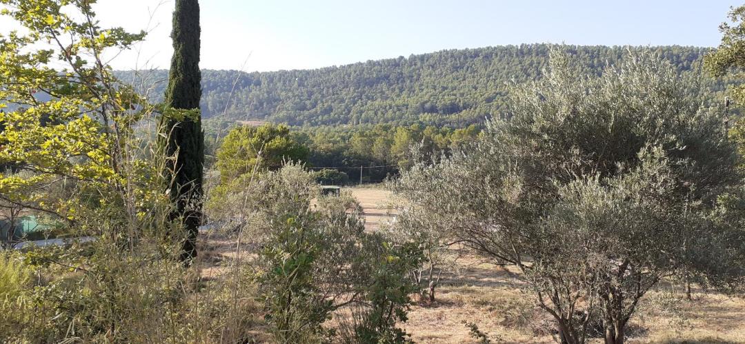 Photo of Others in Salernes