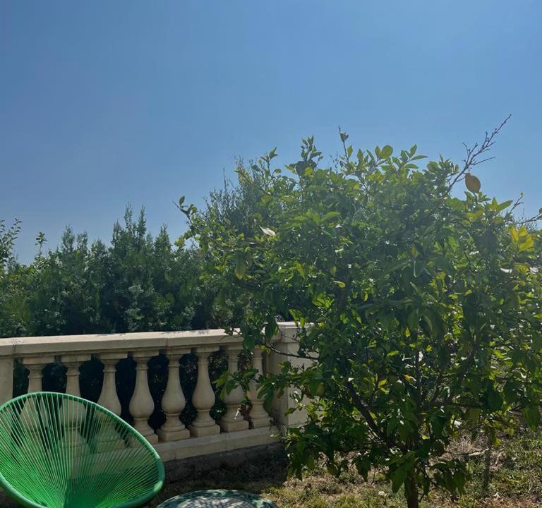 Photo of Others in Mandelieu-La-Napoule