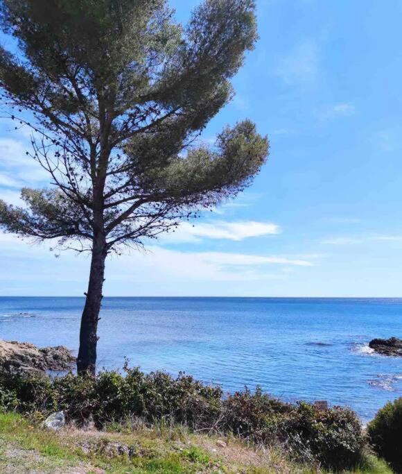 Photo of Outdoor in Guerrevieille