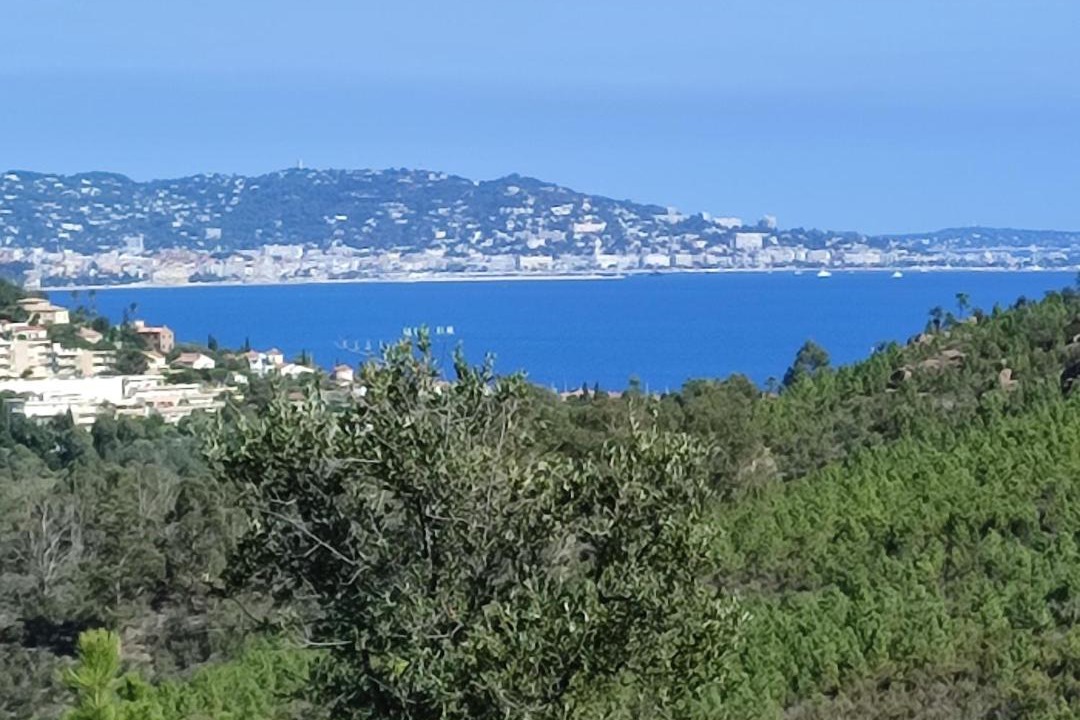 Photo of Others in Mandelieu-La-Napoule