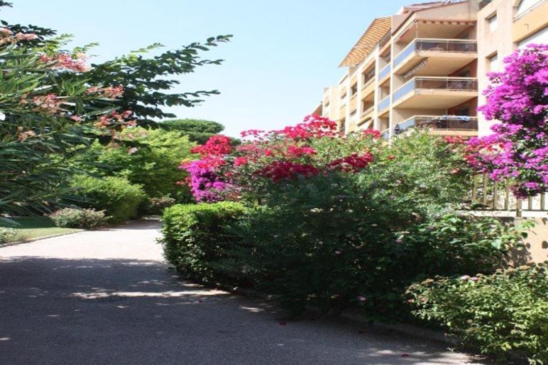 Photo of Others in Hyeres