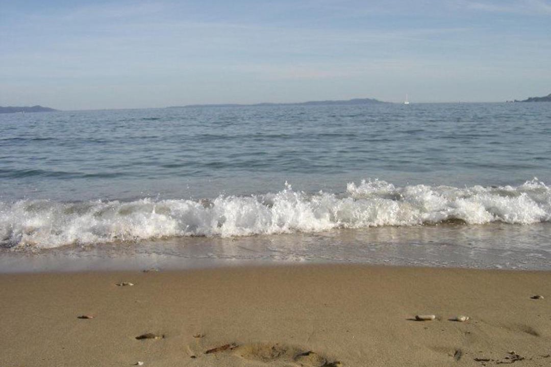 Photo of Others in Hyeres