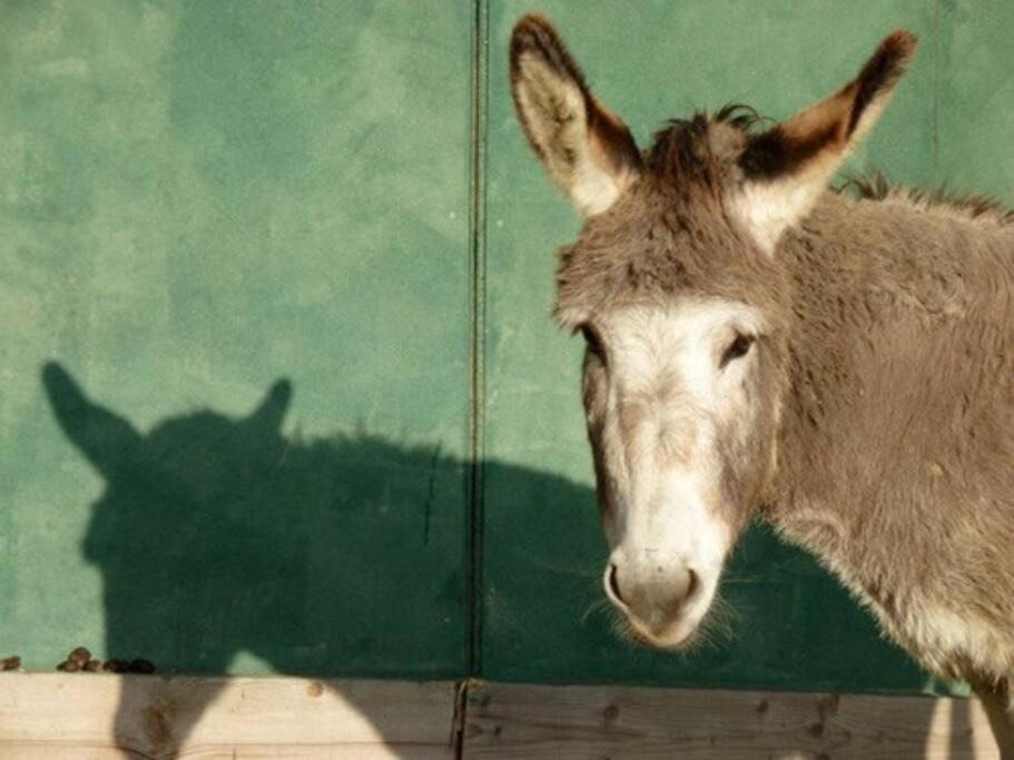 Photo of Others in Chateauneuf-Grasse