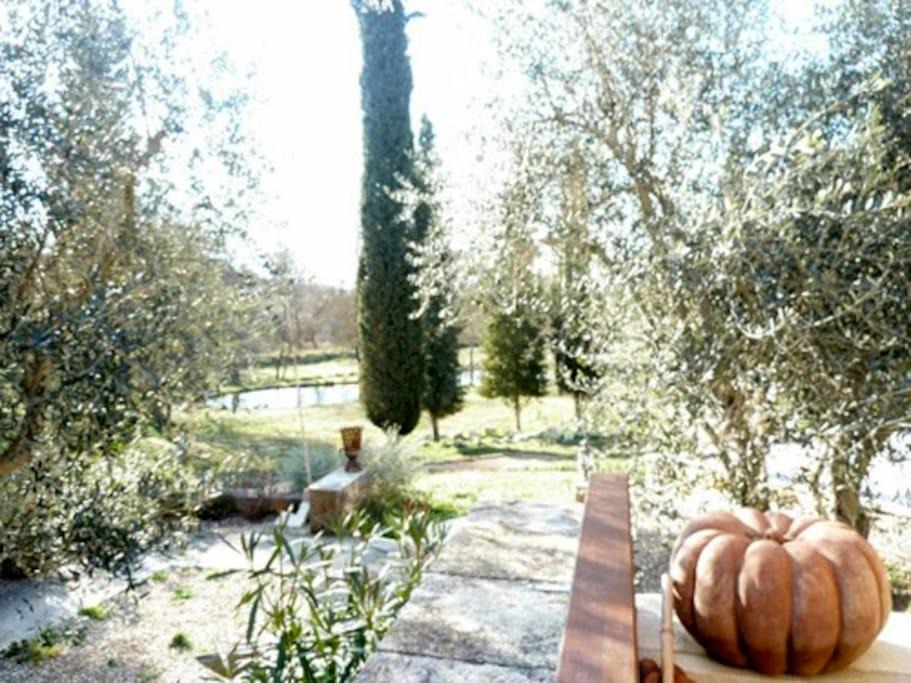 Photo of Others in Chateauneuf-Grasse