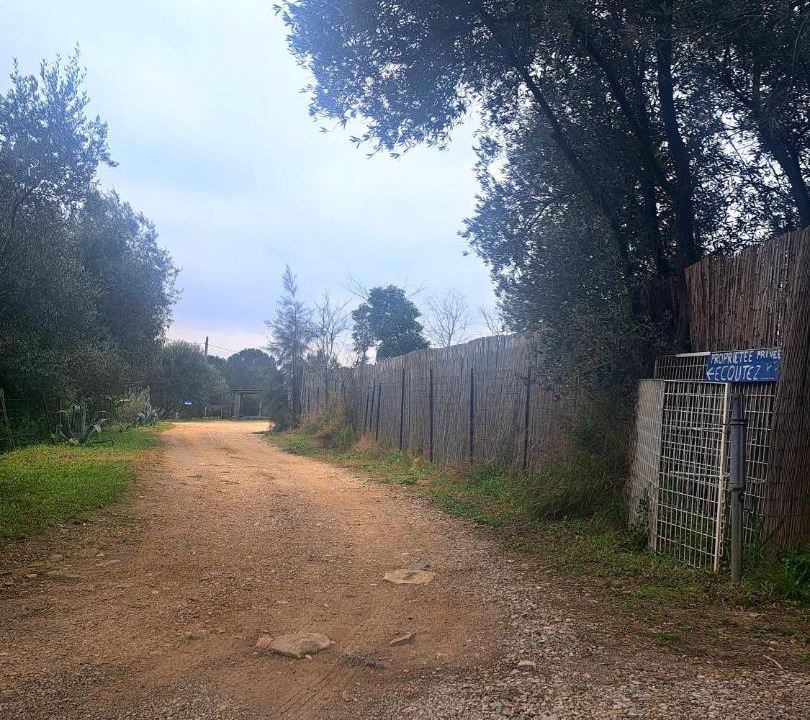 Photo of Others in Lunel