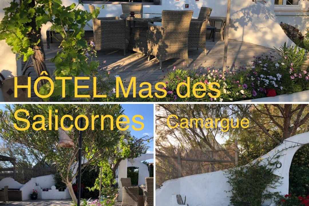 Photo of Others in Saintes-Maries-de-la-Mer
