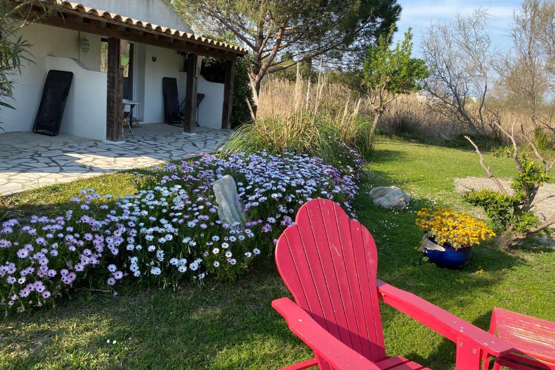 Photo of Others in Saintes-Maries-de-la-Mer