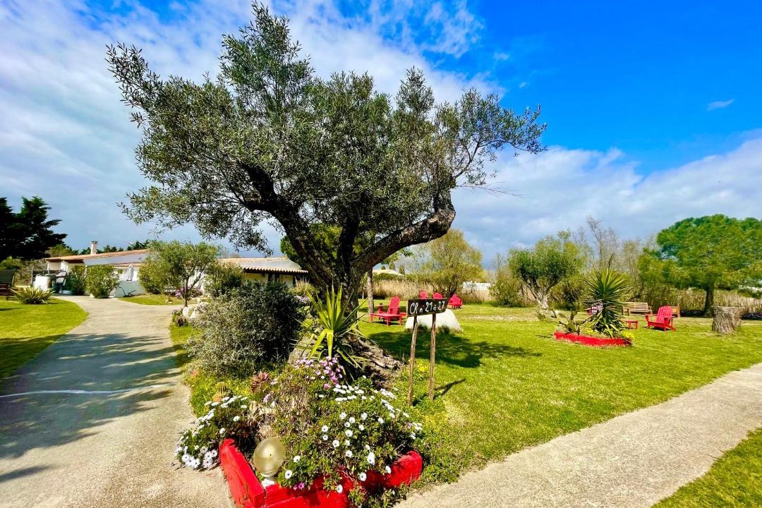 Photo of Others in Saintes-Maries-de-la-Mer