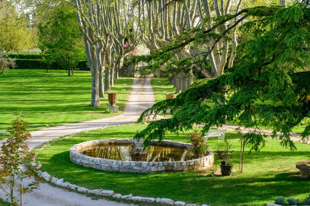 Photo of Others in Avignon