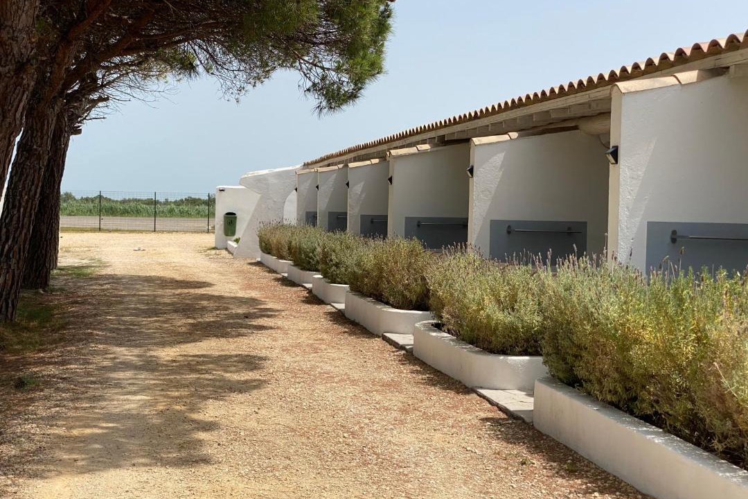 Photo of Others in Saintes-Maries-de-la-Mer