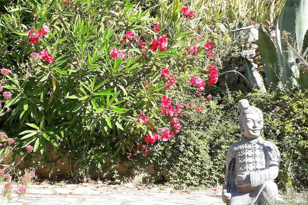 Photo of Others in Cuges-les-Pins