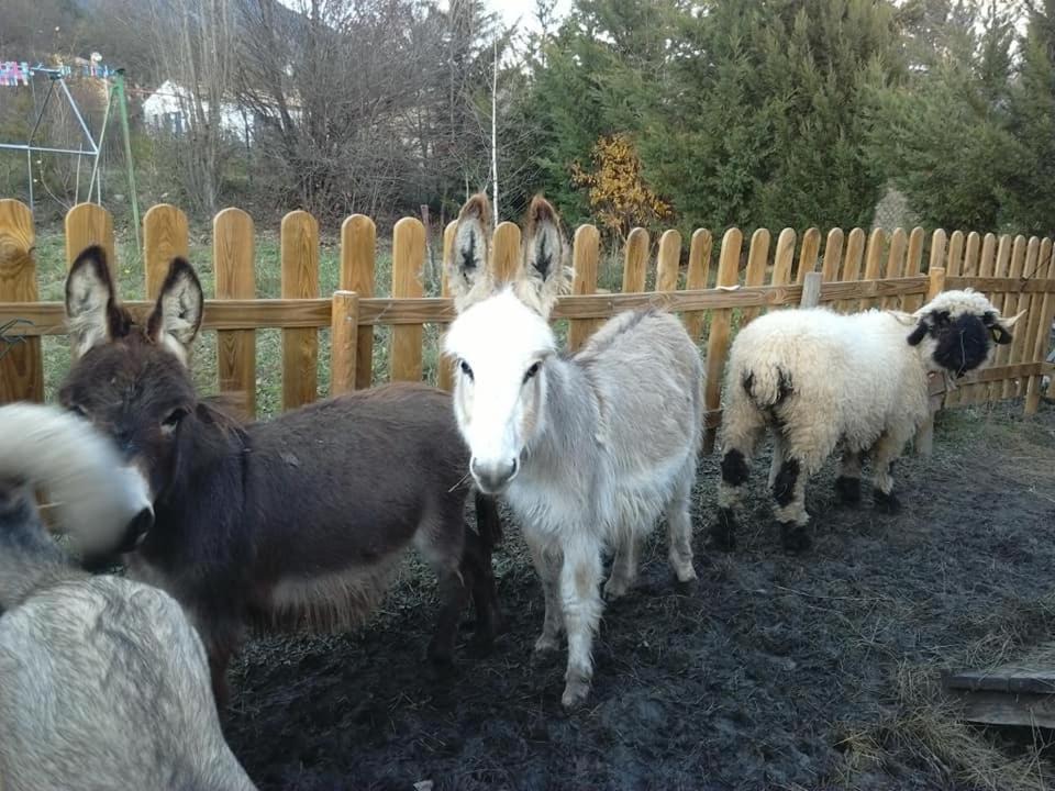 Photo of Others in La Mure Argens